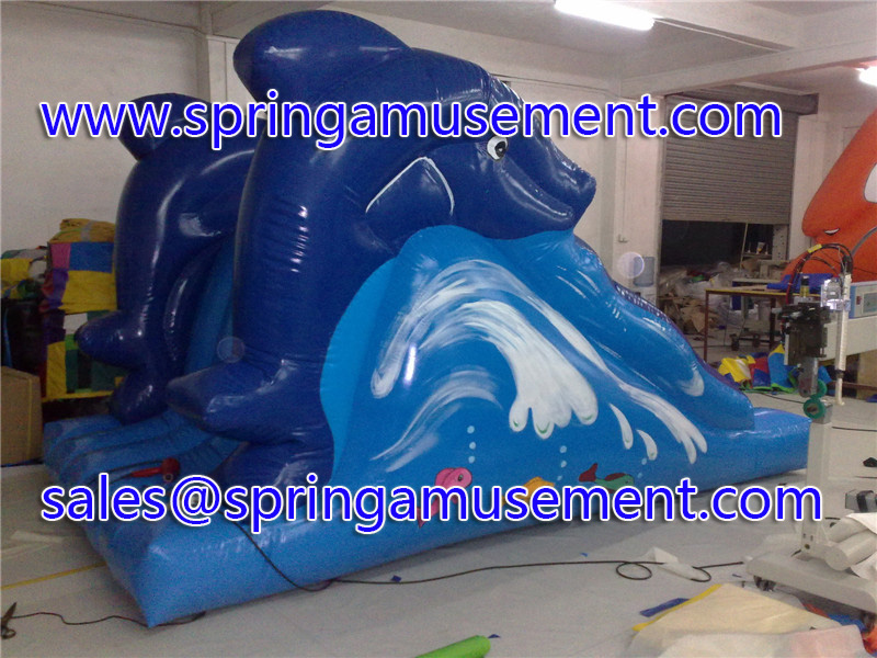 Water Game-inflatable game