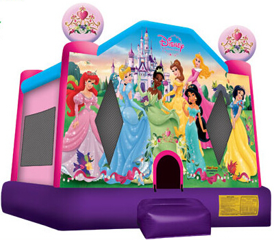 Inflatable Games-Theme Printing & Panel Castle